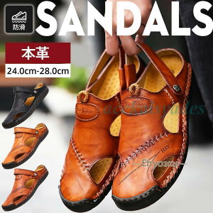 T_ Y r[`T_ {v X|[cT_ RtH[g V[Y ₷  JWA amp  傫TCY