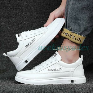 Xj[J[ Y zCg tFCNU[  V[Y fbLV[Y [Jbg JWAV[Y C ʋ