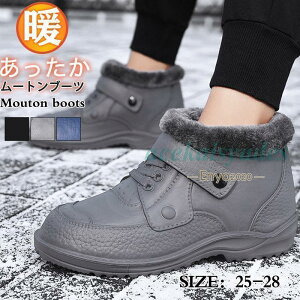 [gu[c Y C ~p 傫TCY Xm[u[c ӂӂ N  h [Jbg g {A jp amC@R hL