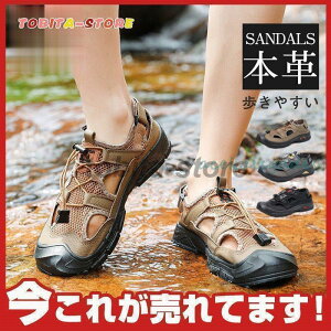 T_ Y X|[cT_  C AEghA ₷  Xbp T{ ItBXV[Y Lv s y EH[LO