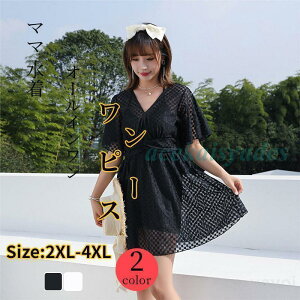  fB[X JVN[40 50V[OI[CXCEFA Jo[   L[g