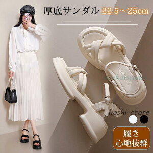 T_ fB[X X|[cT_ X|T X|[cq[T_ ₷ Ȃ 5cmq[ ʋ s 񎟉 Ă΂  RtH[g