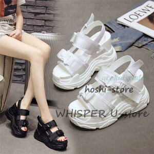 T_ fB[X X|[cT_ T_ ʋC RtH[g q[12cm X|[cT_ CuV[Y X IV ؍t@V r[`T