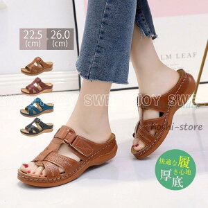 T_ fB[X T}[T_ q[T_  ʋC ؍ JWA ₷ ₷ p p 킢