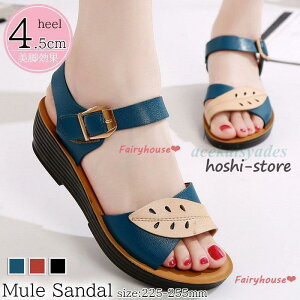 T_ fB[X ₷ ăT_ XgbvT_ C EFbW\[ [}u[ Vv ₷ rT_ y IVV