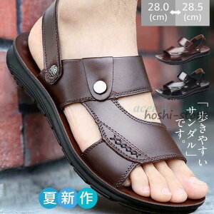 {܂ŁIr[`T_ Y T_ ɂȂ  C JWAV[Y 傫TCY  ₷ 2023V amp 