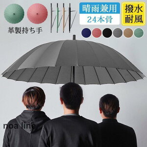 P JP 傫 Y fB[X Jp ՌՔM 24{ 3l\ v  rWlX ʋ hV̓ X|[cϐ