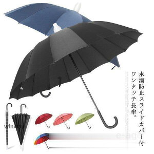 ^ a120cm P 傫TCY P 2-3l Jo[t P hH ΍ JP ^b`  WvP v 16{ 唻