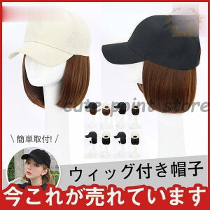 Lbv tXq ѕtXq V[g EBbOtXq ϑ {u ^ ×pEBbO  ؍ R  C`F