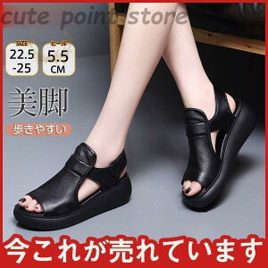 T_ fB[X EFbW\[ ~[T_ }} I[vgD ₷ C s AEghA  JWA r