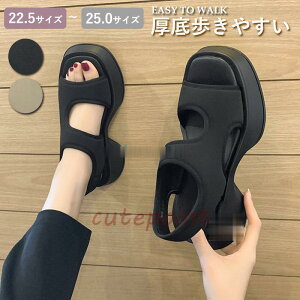  T_ fB[X ₷   Vv   T_ y X|[cT_ ؍  ₷ q[ r JWA