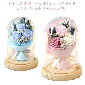 zR KXh[t \[vt[ V{t[ u[P LEDC~l[Vt ~j ԑ ͂Ȃ ̓ 蕨 [Y