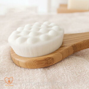 {fBuV ɍז L̒  \tg _炩 ؐ w C ̐ ͂ȂɑΉ ~ߕRt ̓ ̓ Mtg wjLr 