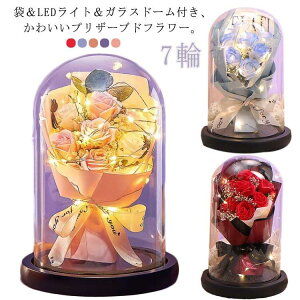 KXh[ } KXP[X \[vt[ j vU[uht[  Mtg a ̓ v[g zCgf[ Əj ̓