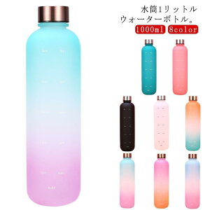 EH[^[{g ^C}[J[t 1bg {g 1000ml ڐ t{g X|[c hN  1L  AEgh
