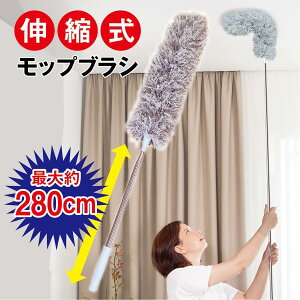 Lk bvuV  N̑ bv | GAR Ȃ Obv  Lт V C mop-brush