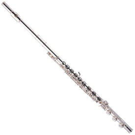 楽天市場 楽器 フルートの通販