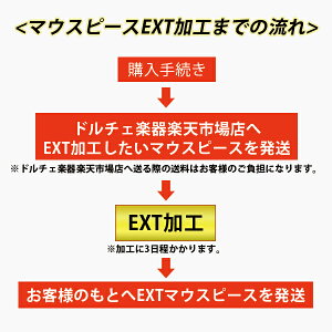 EXT����/Effect X Treatment/�}�E�X�s�[�X