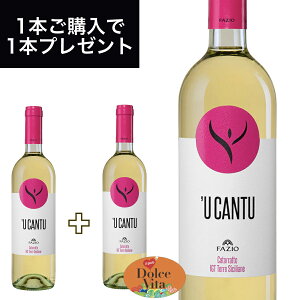 yԗDǃVbv2025N1x܁IzE JgD J^bg eb V`A[l IGT 750ml C^AA C Fazioit@cBIj h`FB[^