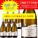 【在庫一掃 赤字セール】グリッロ エガデス DOC エリチェ(GRILLO AEGADES DOC ERICE) 750ml イタリア直輸入 白ワイン ファツィオ FAZIO ドルチェヴィータ 目玉 パーティ ワイン会 ギフト お買い得 お祝い 誕生日 記念日 年末年始 在庫一掃セール