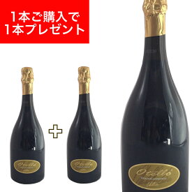 【1本あたり2,130円】【月間優良ショップ2025年1月度受賞！】オテッロ ネロ ディ ランブルスコ 750ml イタリア直輸入 スパークリング 赤 CECI（チェチ） ドルチェヴィータ