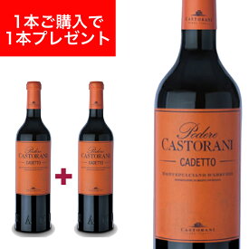 【2022年ヴィンテージ】【1本あたり1,490円】カデット モンテプルチアーノ ダブルッツォ DOC 750ml イタリア直輸入 赤ワイン CASTORANI（カストラーニ） ドルチェヴィータ ヤルノトゥルーリ F1 アブルッツォ