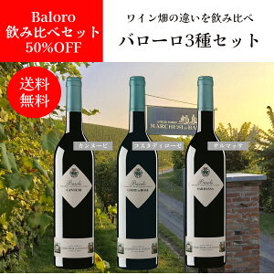 yԗDǃVbv2025N1x܁IzyzyCZbgzo[iBalorojݔ3 Ⴂ C^AC@C^AA 3{Zbg CMtg v[g j L