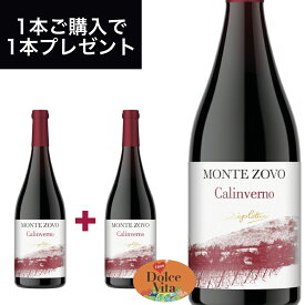 【送料無料】カリンヴェルノ IGT （CALINVERNO IGT） 750ml イタリア直輸入 赤ワイン COTTINI（コッティーニ） ドルチェヴィータ