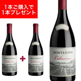 【新エチケット】【2019年ヴィンテージ】カリンヴェルノ IGT （CALINVERNO IGT） 750ml イタリア直輸入 赤ワイン アパッシメント COTTINI（コッティーニ）MONTEZOVO(モンテゾーヴォ） ドルチェヴィータ 1BUY1