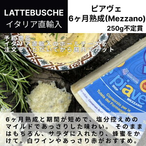 yԗDǃVbv2025N1x܁Izy\̔zyHz① sAF 6ȏn 250g s C^AA AOtH Mezzano h`FB[^ Jbg ؂藧 C^