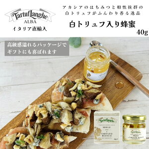 yP[Xw20%OFFzgt݂͂ 40g×1 ^gDtQiTARTUFLANGHEj C^AA gt I nj[ C^A h`FB[^ sU