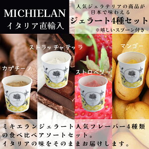 yēׁzC^A WF[g 4 A\[gZbg lߍ킹 Jv`[m Xgb`eb Xgx[ }S[ ~LG MICHIELAN C^A Flg ACXN[ V[x