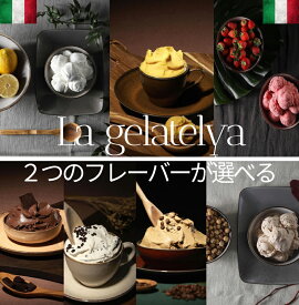 【セット購入20%OFF】【9種類のフレーバーから選べるイタリアンジェラート】ヴェネチア ティラミス チョコレート ストラッチャテッラ　ストロベリー マンゴー レモン アマレーナ カプチーノ ヘーゼルナッツ ドルチェヴィータ 伝統 クリーム デザート 食後 ミキエラン 業務用