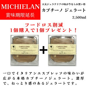 y󂠂zyܖzy50%OFFzJv`[m C^AWF[g lCWFeA R[q[ C^AA ~LG (MICHIELAN) 2,500ml Ɩp h`FB[^ t[hX팸