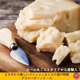 チーズ グラナパダーノ 200g(230g〜250g） 不定貫 イタリア直輸入 ドルチェヴィータ　【予約販売】【※納期3日～12日】 母の日