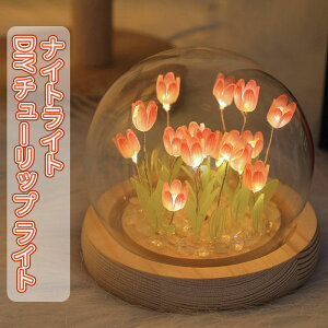 _X[p[Z[^iCgCg xbhTChv DIY `[bv Cg e[uv v[g dr ԐڏƖ LEDCg }`bN NX}X VN a Mtg 蕨 