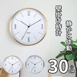 _5{|Cg^|v É Ǌ|v dgv |v k É  ^  |v AiO 傫 IV ǂ ₷ 傫 30cm J`J` Ȃ Ce