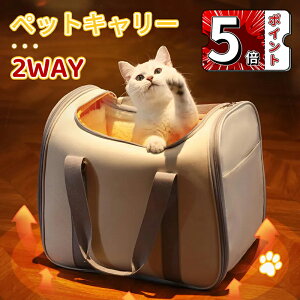 _5{|Cg^2Ways ybgL[ w\ obO V_[ LobN obN L  ^ y ܂ ybgL[obO ΂߂ a@ hCu   ybgL[