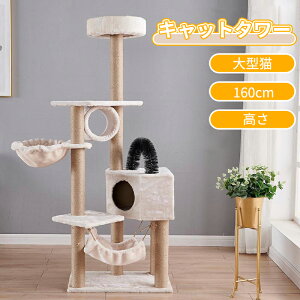 _5{|Cg^Lbg^[ L^[ X ^L u ȃXy[X o₷ nbN  ˂nEX {{ VRR ܂Ƃ ^s  x[W 160cm