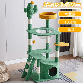 ＼スーパーセール／キャットタワー キャットタワースタジアム 大型猫 スリム 省スペース 据え置き 猫タワー キャットハウス 猫 猫用品 爪とぎ ホワイトコットン 多頭飼い ハンモック付 ベッド おしゃれ 安定性 耐久性 136cm キャットタワー