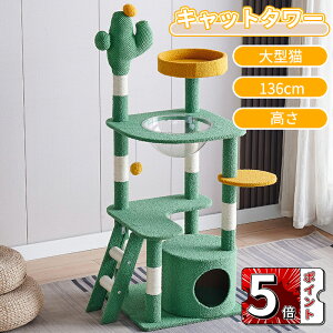 _5{|Cg^Lbg^[ Lbg^[X^WA ^L X ȃXy[X u L^[ LbgnEX L Lpi ܂Ƃ zCgRbg  nbNt xbh 