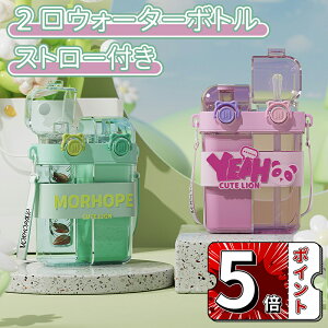 _5{|Cg^2EH[^[{g d݌tEI[^[{g &Xg[t d݌ dbNXg[t 760ml {g ύ EH[^[{g 킢 ό 