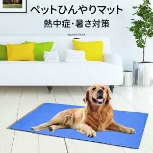 _X[p[Z[^ybgxbh Ђ}bg ybgp }bg ybgЂ}bg  L N[}bg ⊴V[g 􂦂 QW ~߉H L ^ ^ ETM Ή 