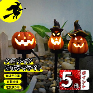 _5{|Cg^nEB  Cg ڂ K[fCg ڂ჉Cg nEB[ \[[Cg nEB XgOCg nEBt v ߍݎ 