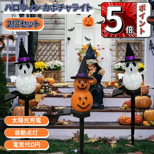 _5{|Cg^nEB  Cg ڂ K[fCg ڂ჉Cg nEB[ \[[Cg nEB XgOCg nEBt v ߍݎ 