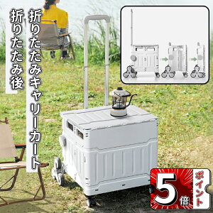 _5{|Cg^܂肽݃L[J[g VbsOJ[g ReiL[ 8֒iyX VbsOJ[gω׏d50kg Wt y ܂ݑ É RpNg{bNX  