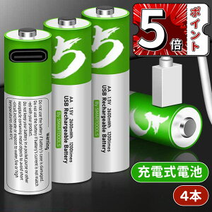 _5{|Cg^POdr [d 4{Zbg 1500gp\ 2600mWh 1.5Vo `ECI P3`[ddr }[d یHt GR AAdr TYPE-C[dP[ut