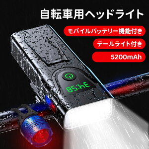_5{|Cg^]ԃCg 1000[ Px 5200mAhe ]ԃwbhCg USB[d IPX6h 15_[h LEDcʕ\ e[Cgt tȒP TYPE-CΉ oCobe