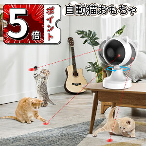 _5{|Cg^L  lV d L LEDCg lR ˂  ybgpi Lߋ |C^[ 邨 [d lC d Lߋ L^s lV 