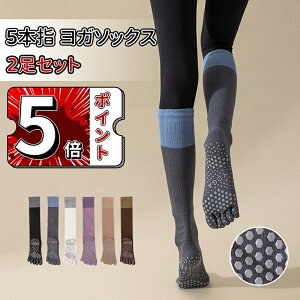 _5{|Cg^_Iׂ2Zbg^K \bNX ~ 5{w KEFA  g[jO wȂ X|[c Xgb` fB[X 킢 ݃J[ EFA seBX W 